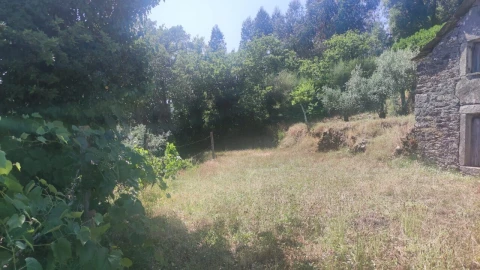 Moradia T0 para Venda em São Miguel do Mato