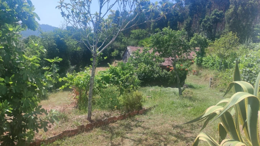 Moradia T0 para Venda em São Miguel do Mato Foto 9