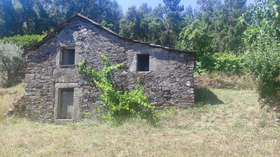 Moradia T0 para Venda em São Miguel do Mato Foto 24