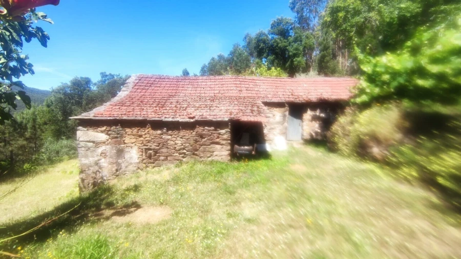 Moradia T0 para Venda em São Miguel do Mato Foto 9