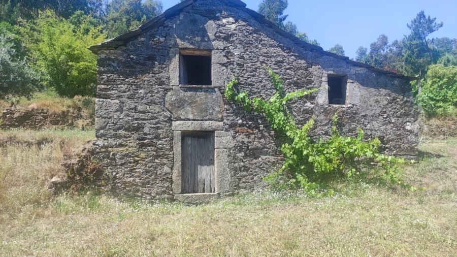 Moradia T0 para Venda em São Miguel do Mato Foto 15