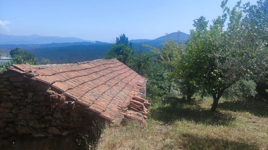 Moradia T0 para Venda em São Miguel do Mato Foto 5