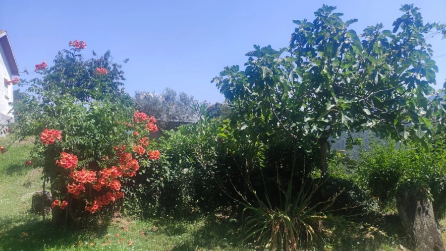 Moradia T0 para Venda em São Miguel do Mato Foto 13