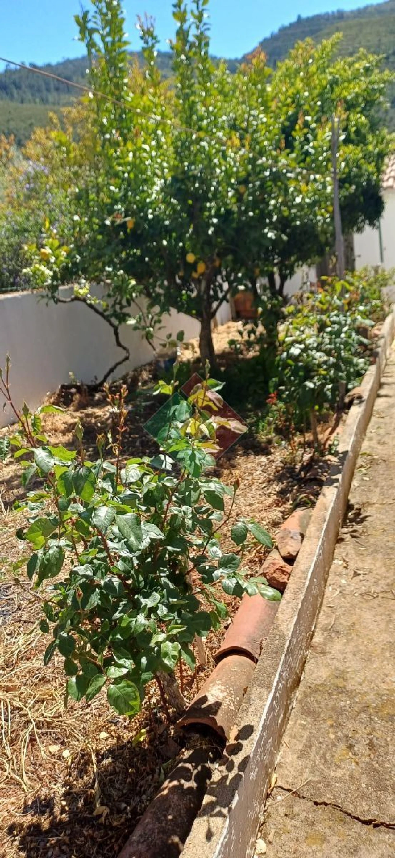 Moradia T4 para Venda em Reguengo e São Julião Foto 25
