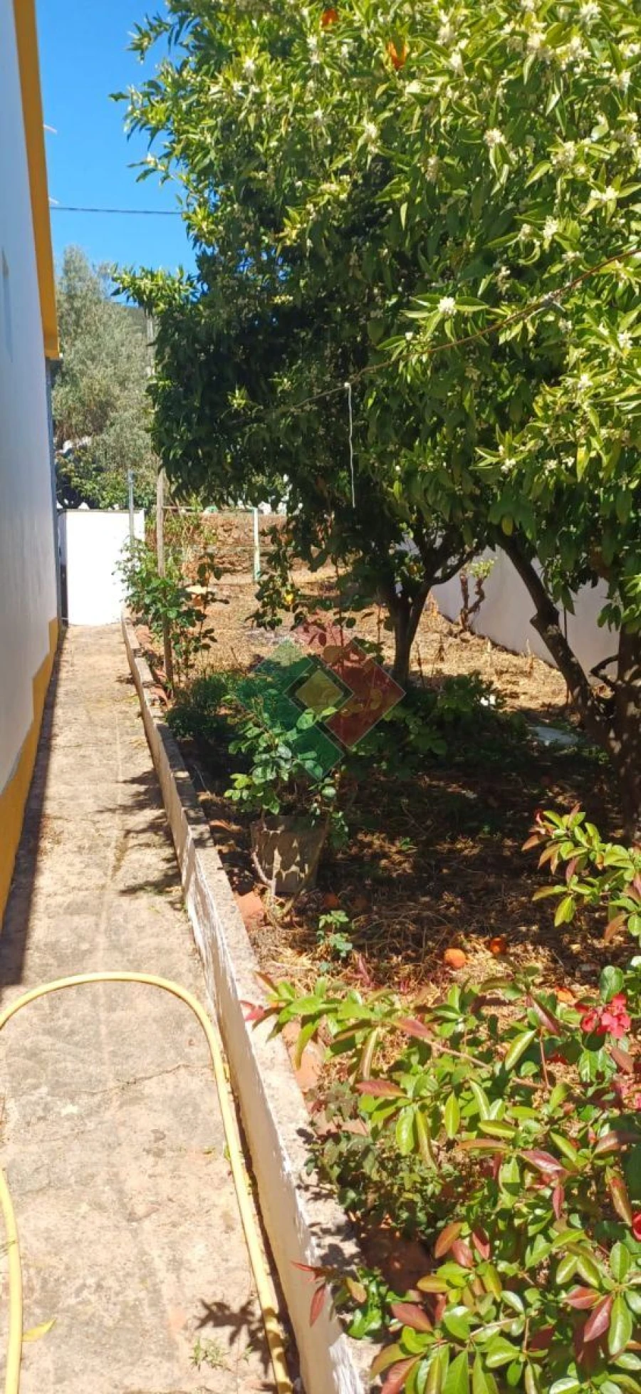 Moradia T4 para Venda em Reguengo e São Julião Foto 24