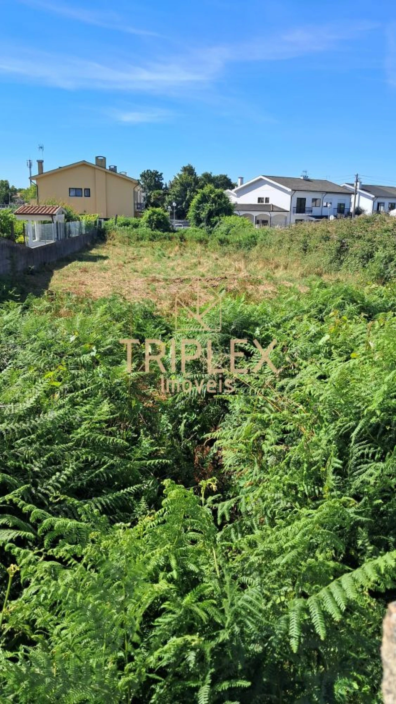 Terreno para Venda em Cidade da Maia Foto 4