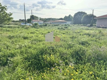 Terreno para Venda em Campos e Vila Meã
