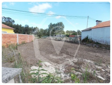 Terreno para Venda em Vagos e Santo António