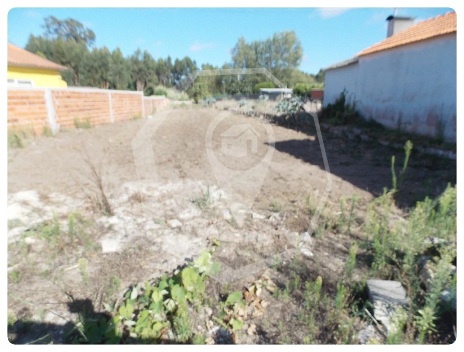 Terreno para Venda em Vagos e Santo António Foto 4