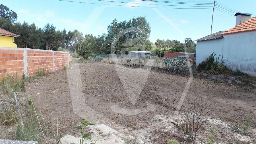Terreno para Venda em Vagos e Santo António