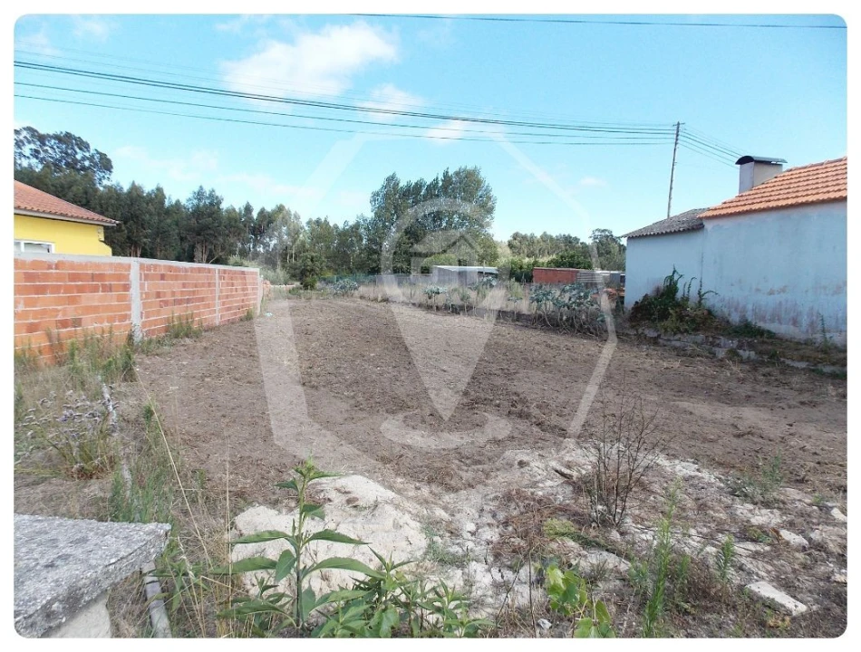 Terreno para Venda em Vagos e Santo António Foto 1
