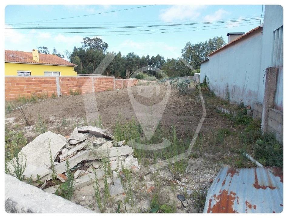 Terreno para Venda em Vagos e Santo António Foto 2