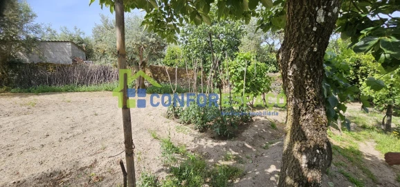 Terreno para Venda em Castelo Branco
