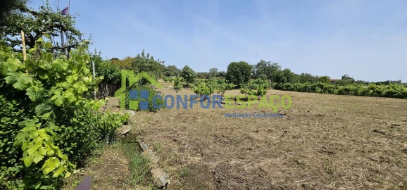 Terreno para Venda em Castelo Branco