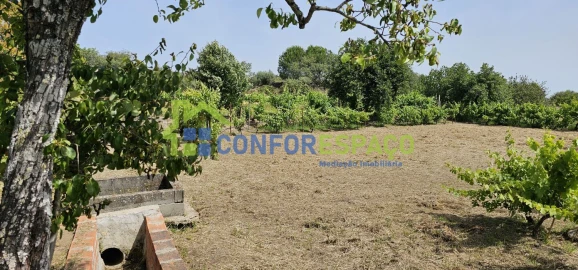 Terreno para Venda em Castelo Branco