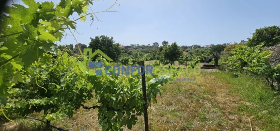 Terreno para Venda em Castelo Branco