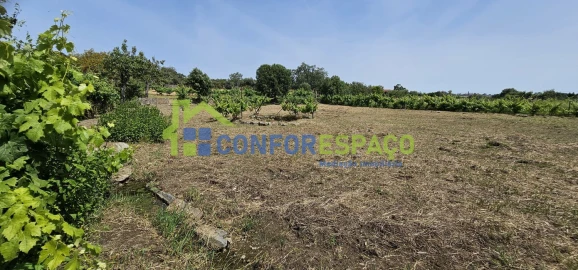 Terreno para Venda em Castelo Branco