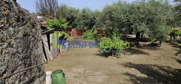 Terreno para Venda em Castelo Branco
