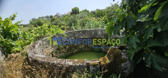 Terreno para Venda em Castelo Branco
