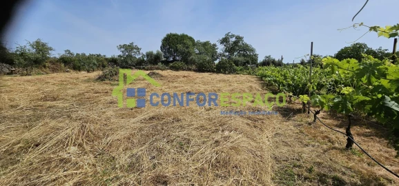 Terreno para Venda em Castelo Branco