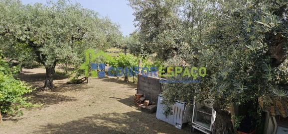 Terreno para Venda em Castelo Branco