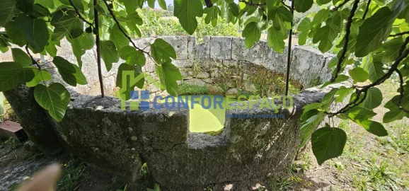Terreno para Venda em Castelo Branco