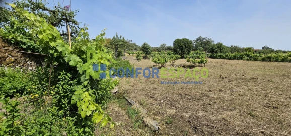 Terreno para Venda em Castelo Branco