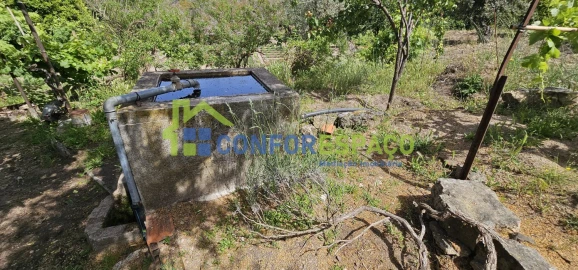 Terreno para Venda em Castelo Branco