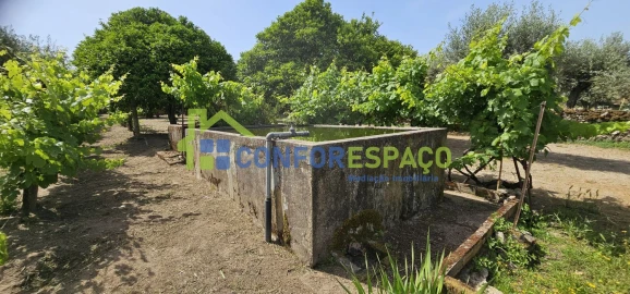 Terreno para Venda em Castelo Branco