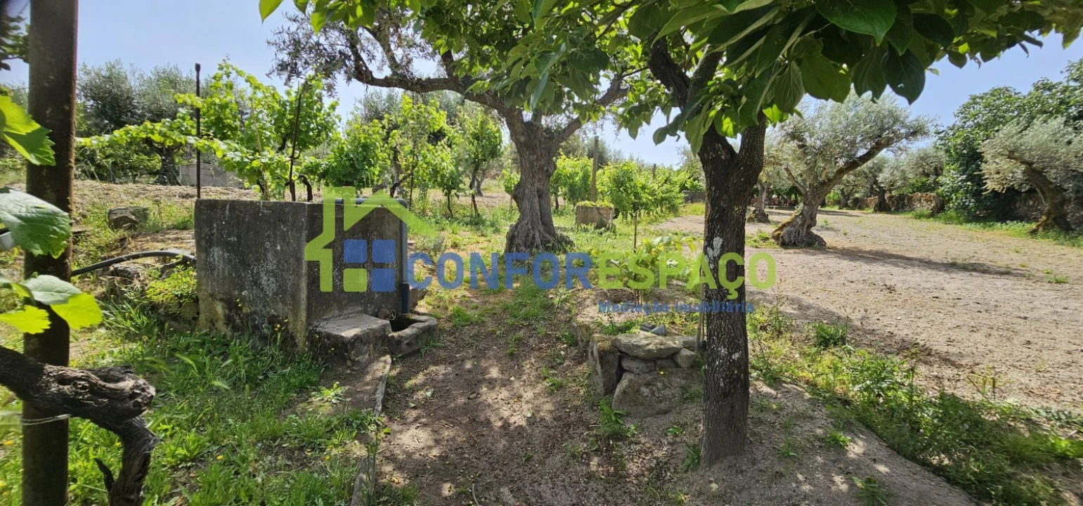 Terreno para Venda em Castelo Branco Foto 11