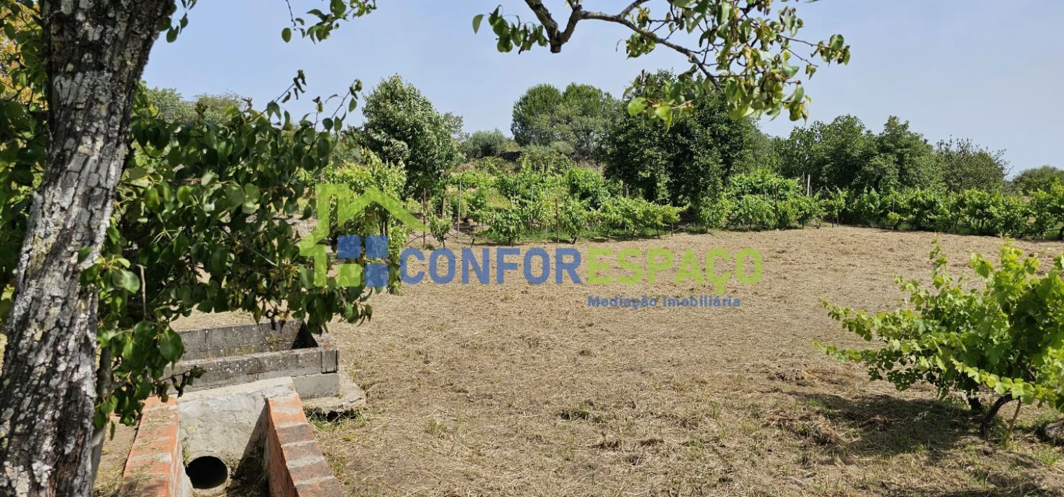 Terreno para Venda em Castelo Branco Foto 26