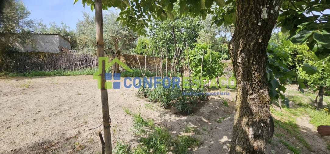 Terreno para Venda em Castelo Branco Foto 9