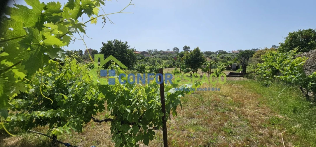Terreno para Venda em Castelo Branco Foto 25