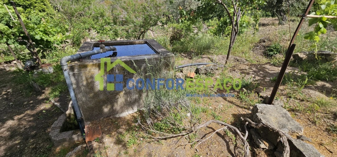 Terreno para Venda em Castelo Branco Foto 21