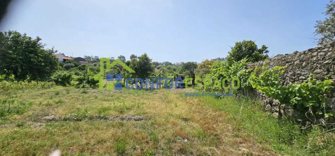 Terreno para Venda em Castelo Branco Foto 23