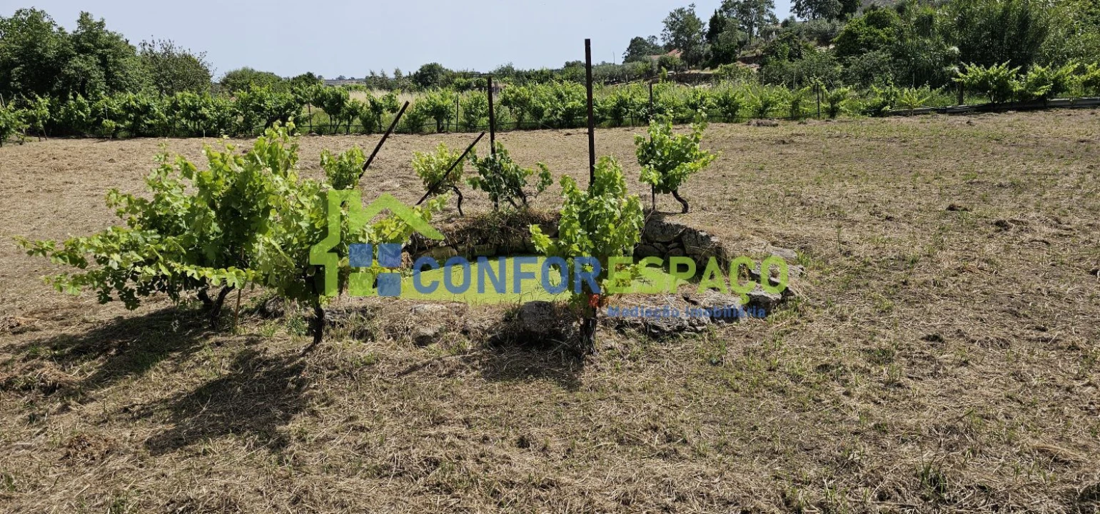 Terreno para Venda em Castelo Branco Foto 24