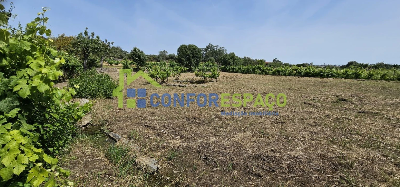 Terreno para Venda em Castelo Branco Foto 18