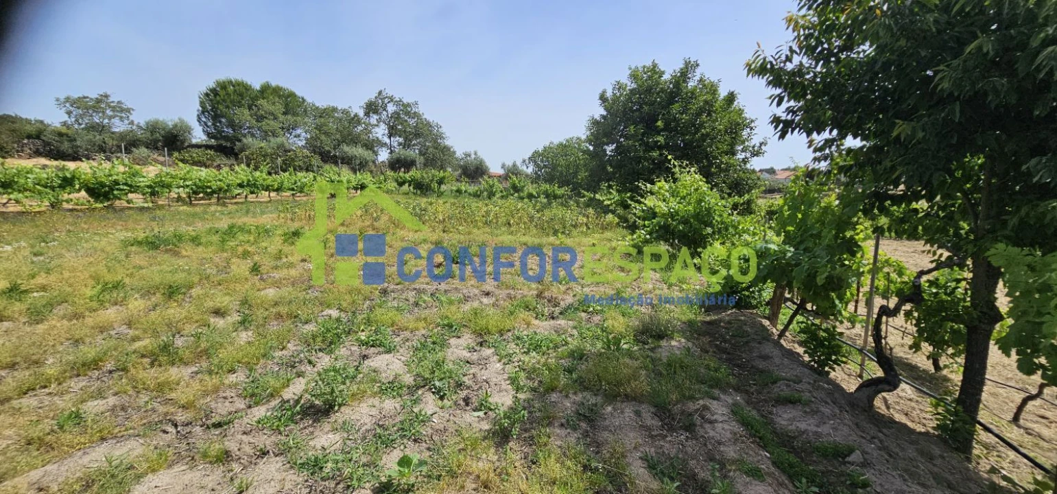 Terreno para Venda em Castelo Branco Foto 22