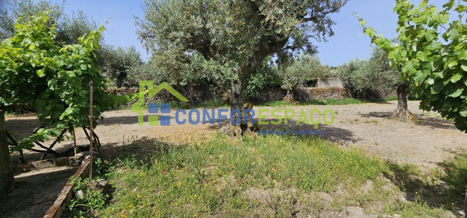 Terreno para Venda em Castelo Branco Foto 7