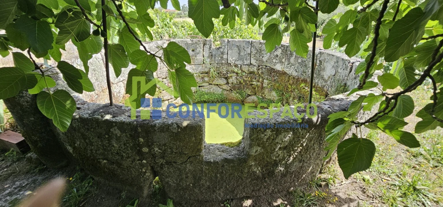 Terreno para Venda em Castelo Branco Foto 15