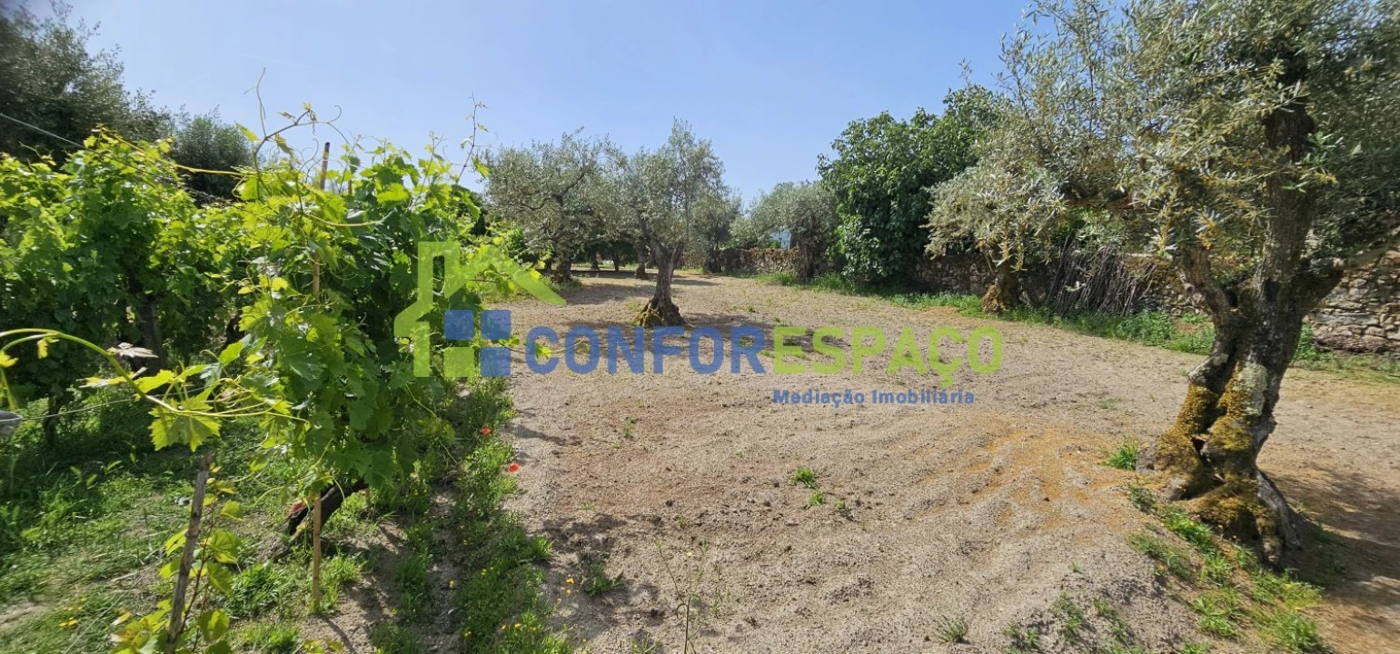 Terreno para Venda em Castelo Branco Foto 4