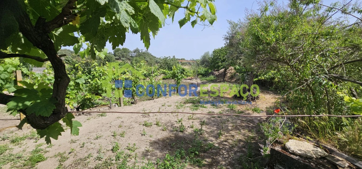 Terreno para Venda em Castelo Branco Foto 12