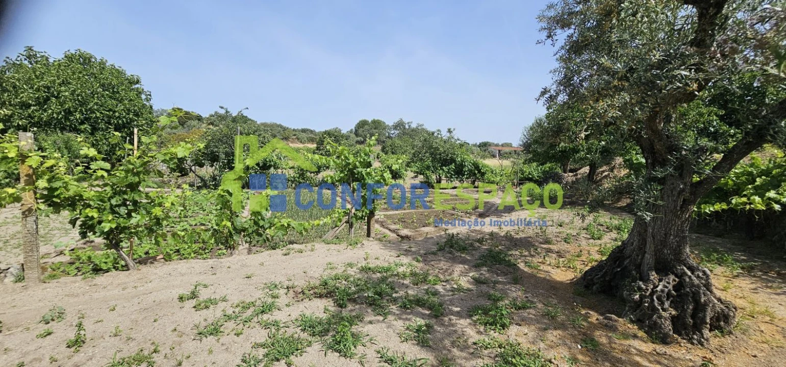 Terreno para Venda em Castelo Branco Foto 27