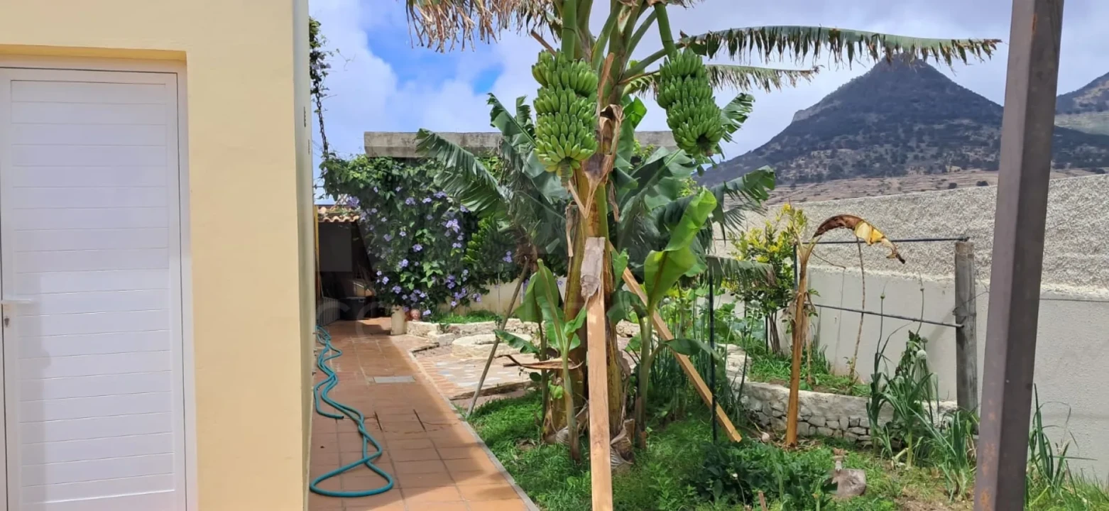 Moradia T3 para Venda em Porto Santo Foto 7