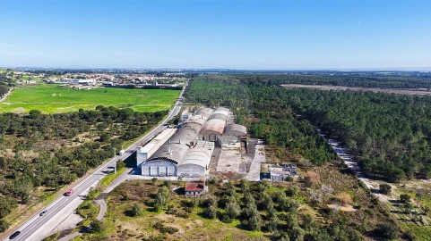 Armazém para Venda em Aveiras de Baixo