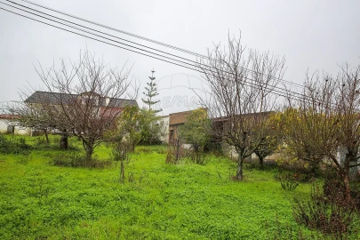 Moradia T3 para Venda em Ventosa