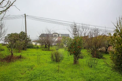 Moradia T3 para Venda em Ventosa