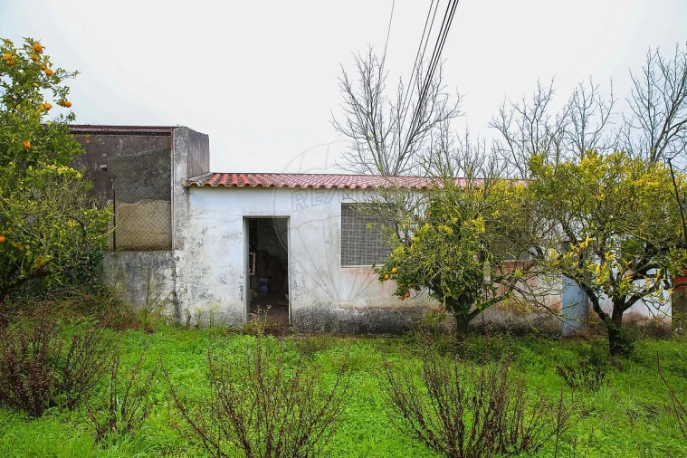 Moradia T3 para Venda em Ventosa Foto 41