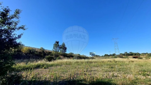 Terreno para Venda em Almoster