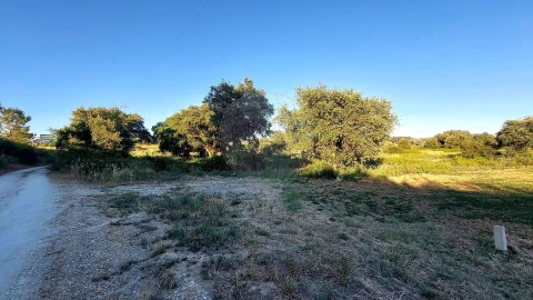 Terreno para Venda em Almoster